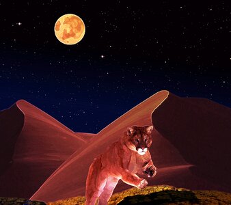 Hunt fantasy picture fantasy image