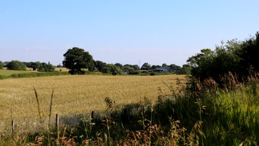 Fields Farm A(do)rable Scene