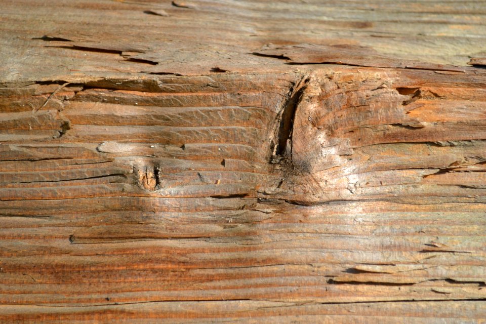 wood