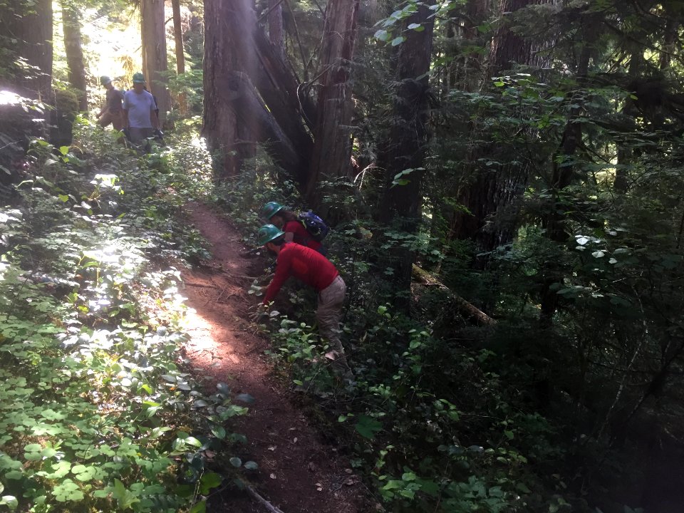 National Trails Day at Trapper Creek