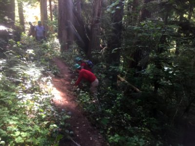 National Trails Day at Trapper Creek