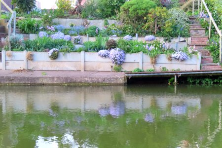 Blue Canal Garden Reflected photo