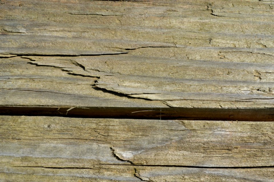 wood