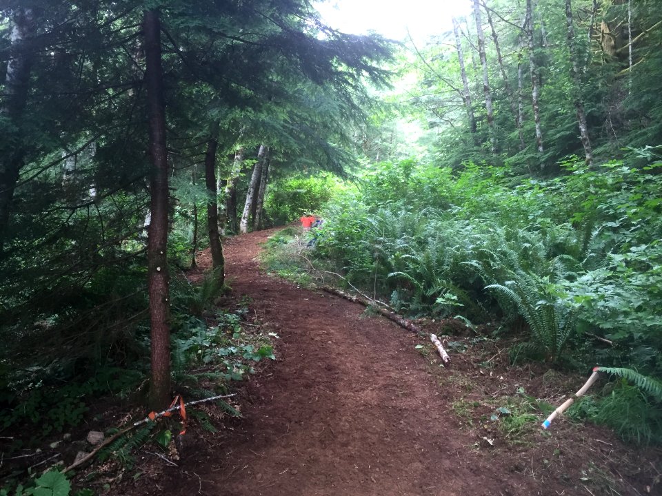 East Fork Lewis River Trail - 7-7-16