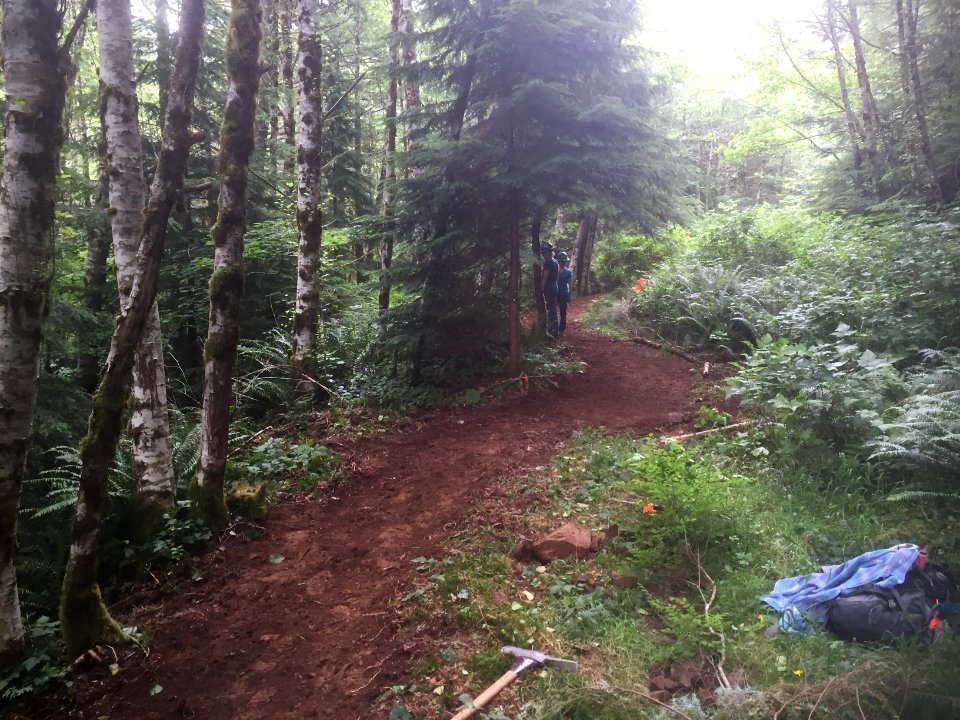 East Fork Lewis River Trail - 7-7-16