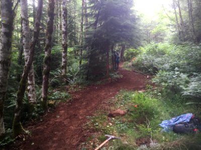 East Fork Lewis River Trail - 7-7-16