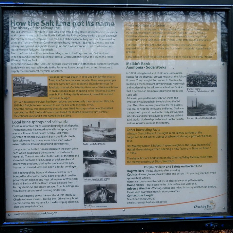 Salt Line Information