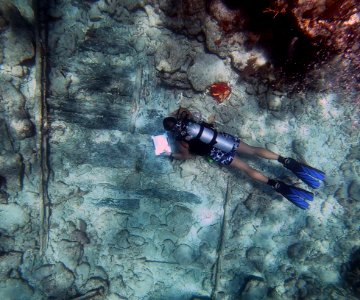 FKNMS diver over shipwreck photo