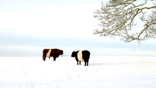 Talking about the weather photo