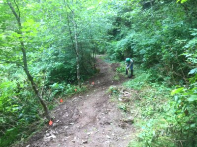 East fork Lewis River Trail