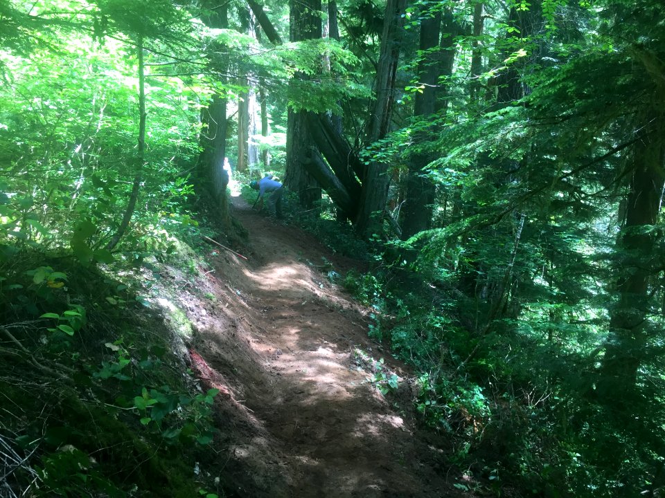 National Trails Day at Trapper Creek