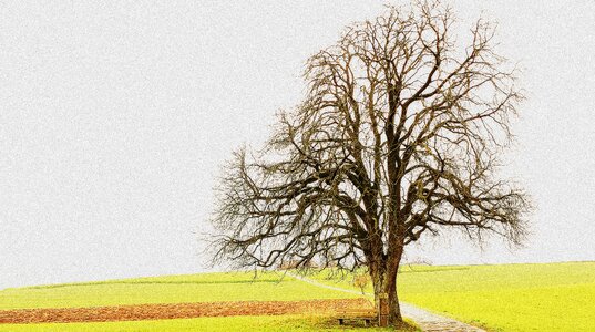 Landscape fields season
