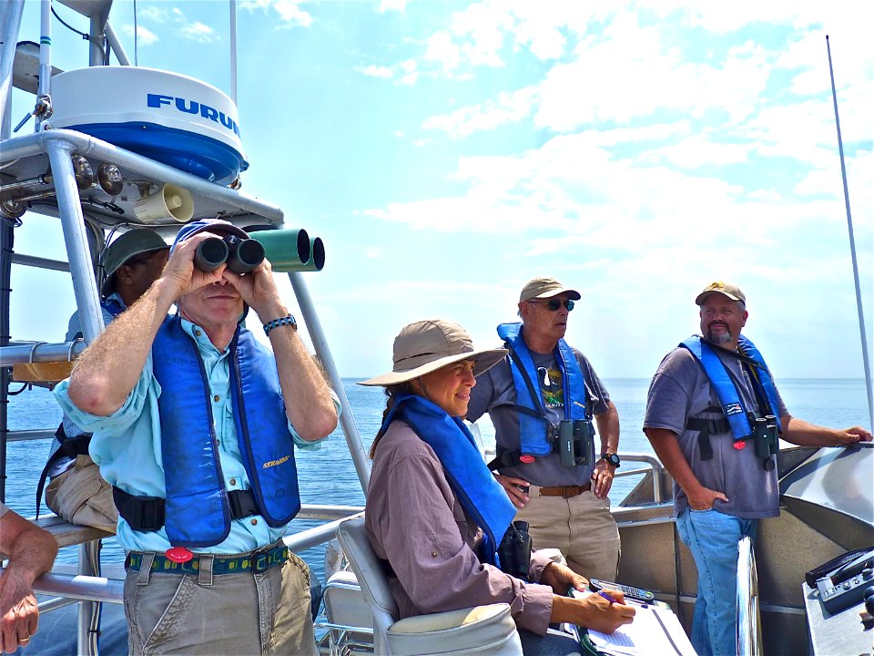 SBNMS - Seabird Stewards