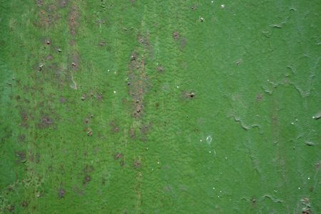 Green paint