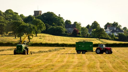 Mowing photo