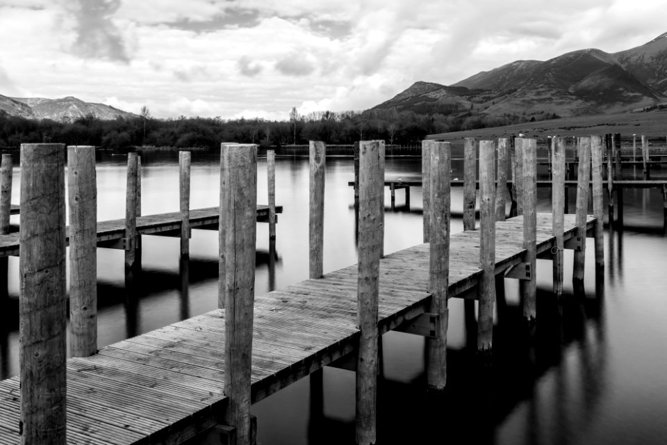 Sticks... in water photo