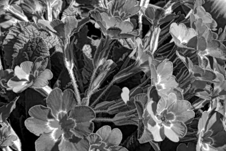 painting bw