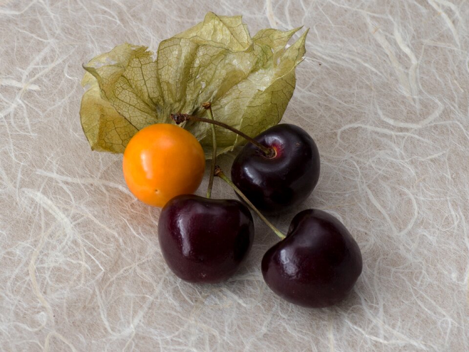 Cherries physalis macro