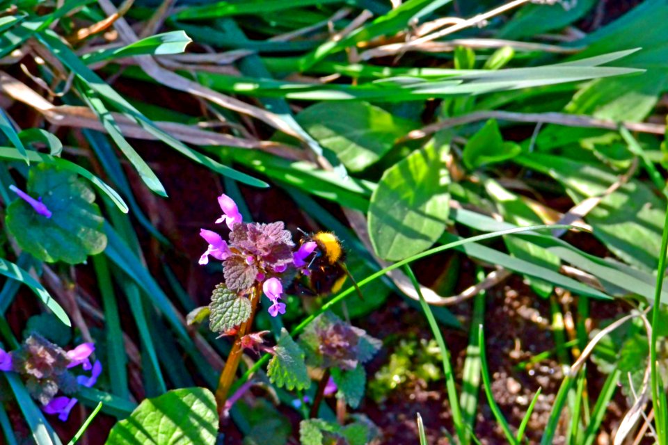 Spring 2014