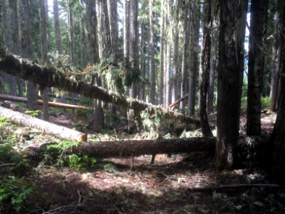 Klickitat 7A