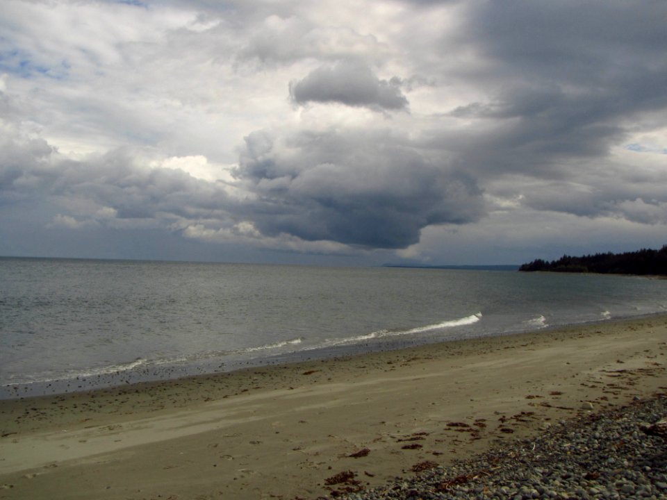 IMG 6558.jpg