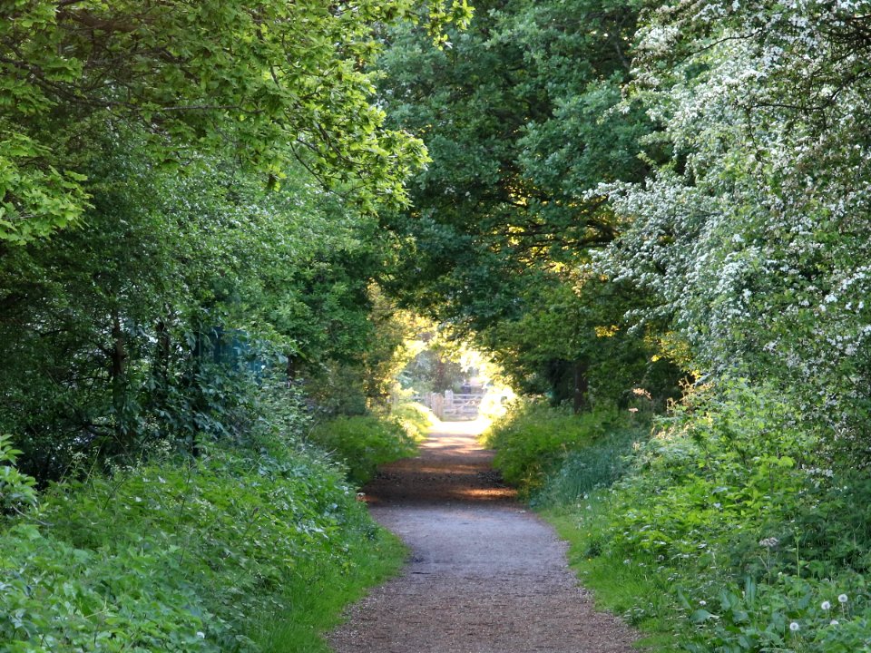 Wheelock Rail Trail
