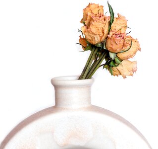 Roses bouquet vase photo
