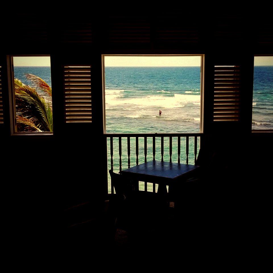 surfing for lunch