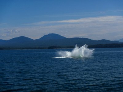 IMG 6874.jpg