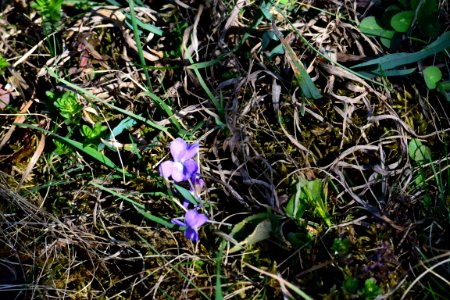 Spring 2014