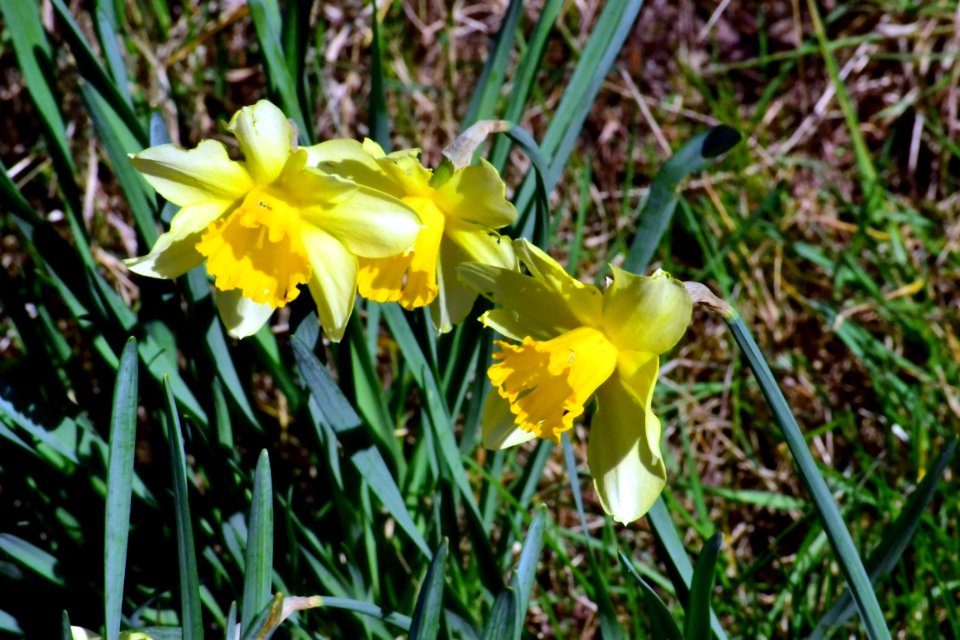 Spring 2014