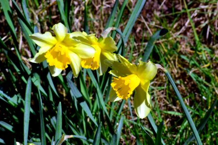 Spring 2014