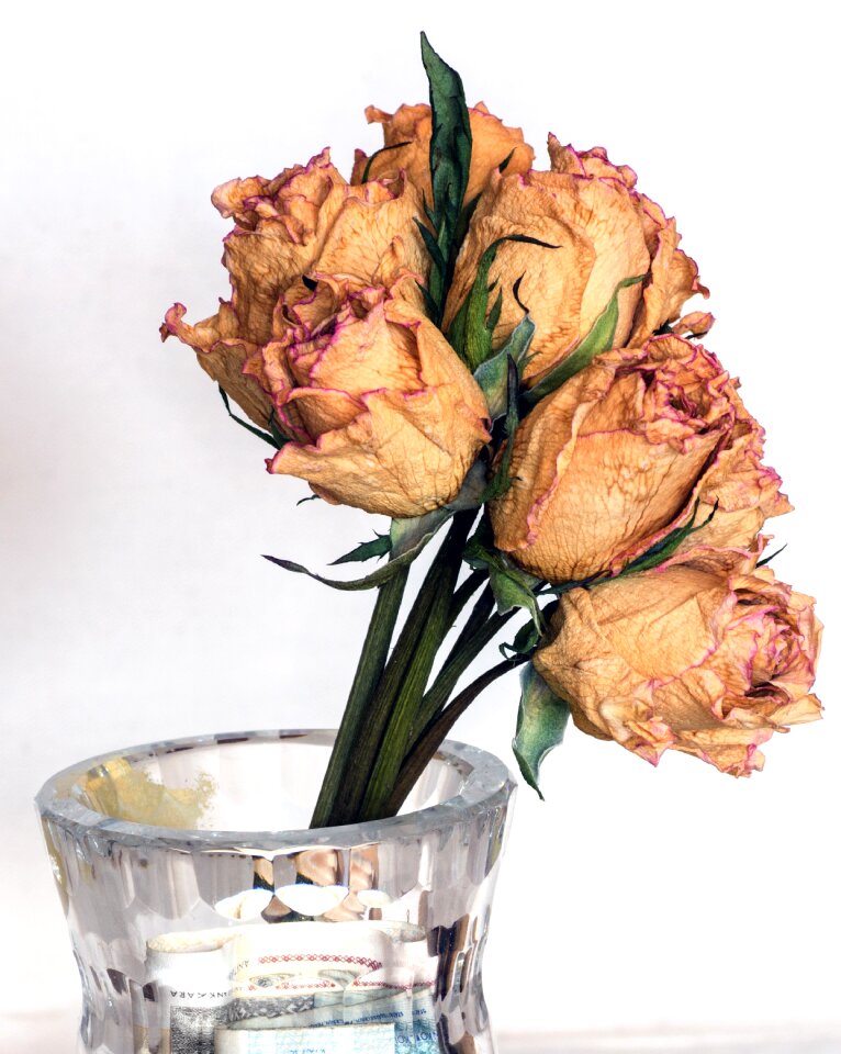 Roses bouquet vase