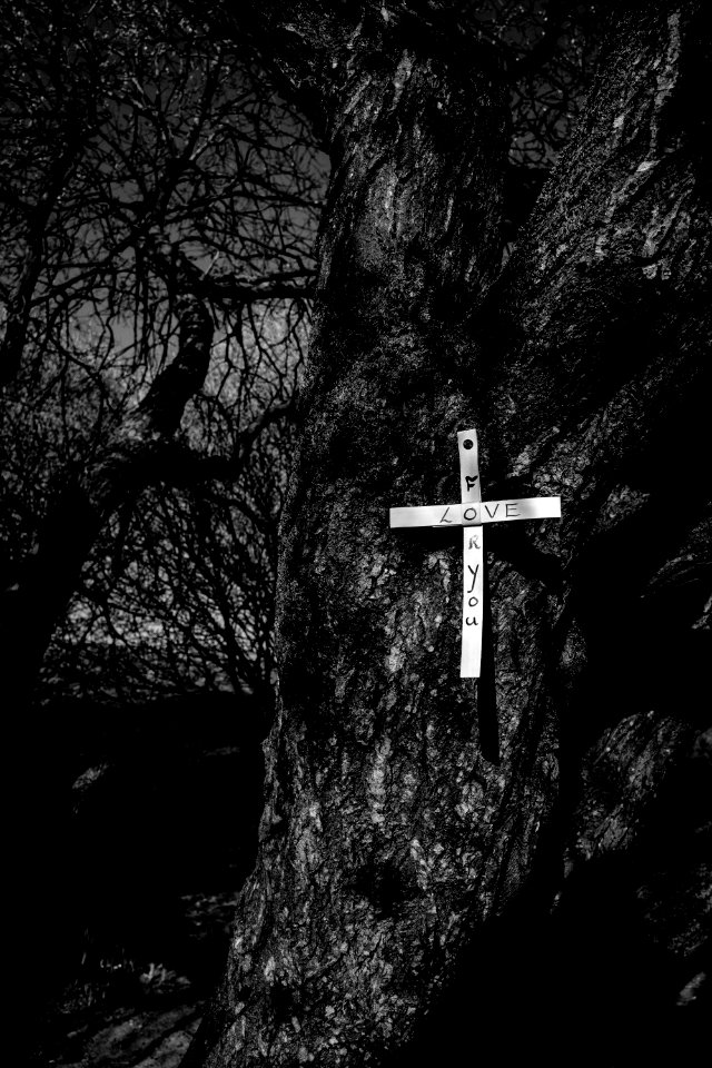 Cross Words - Signs of Covid19