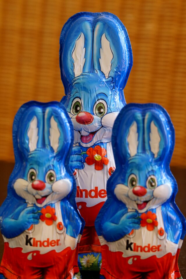 Easter greeting rabbit spring