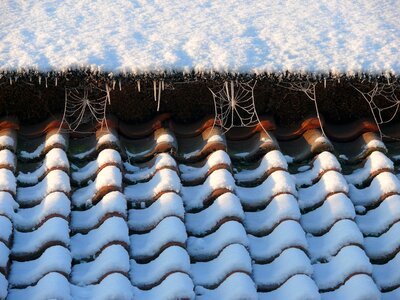 Roof tiles winter white photo
