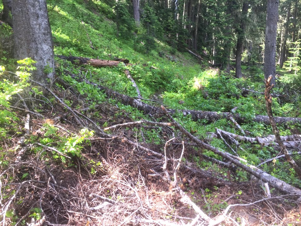 Klickitat 7A