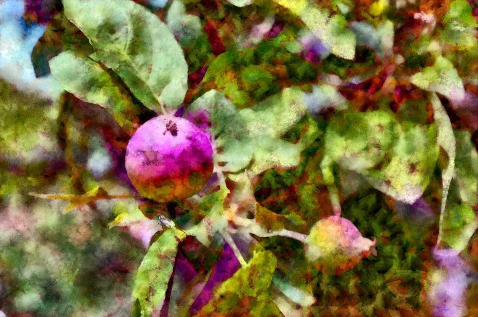 apple Aqua-Pastel