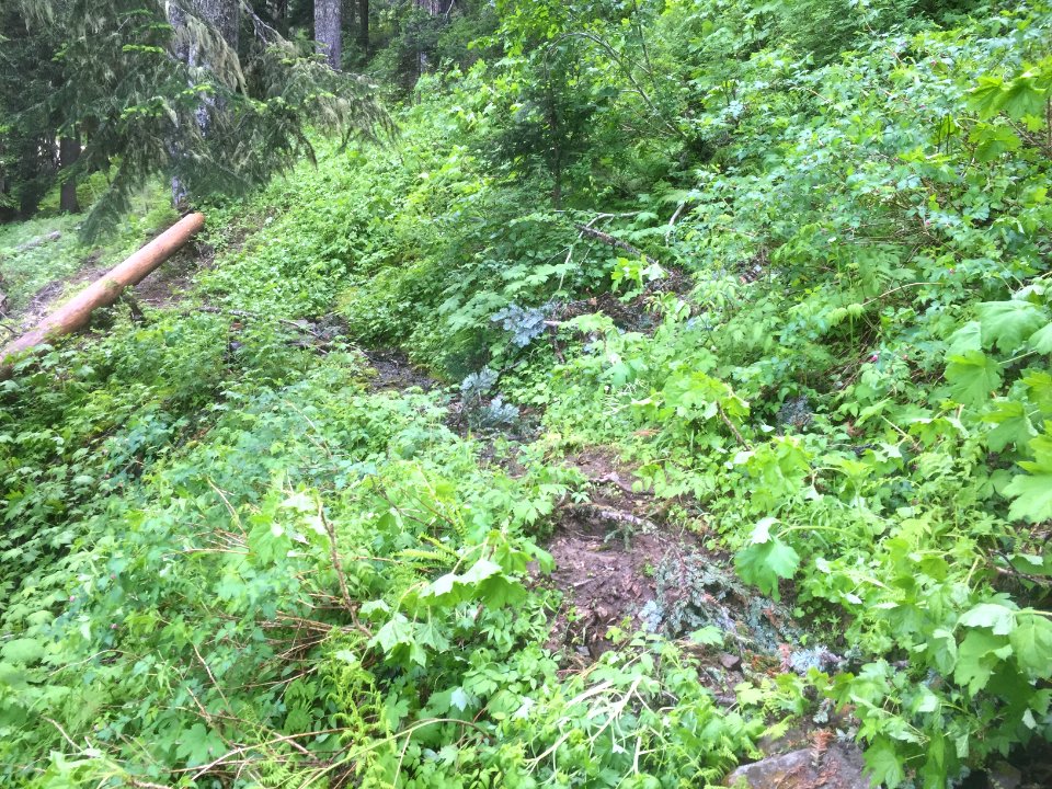Klickitat 7A