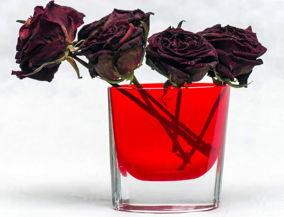 Roses bouquet vase
