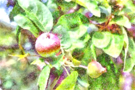 apple Watercolor photo