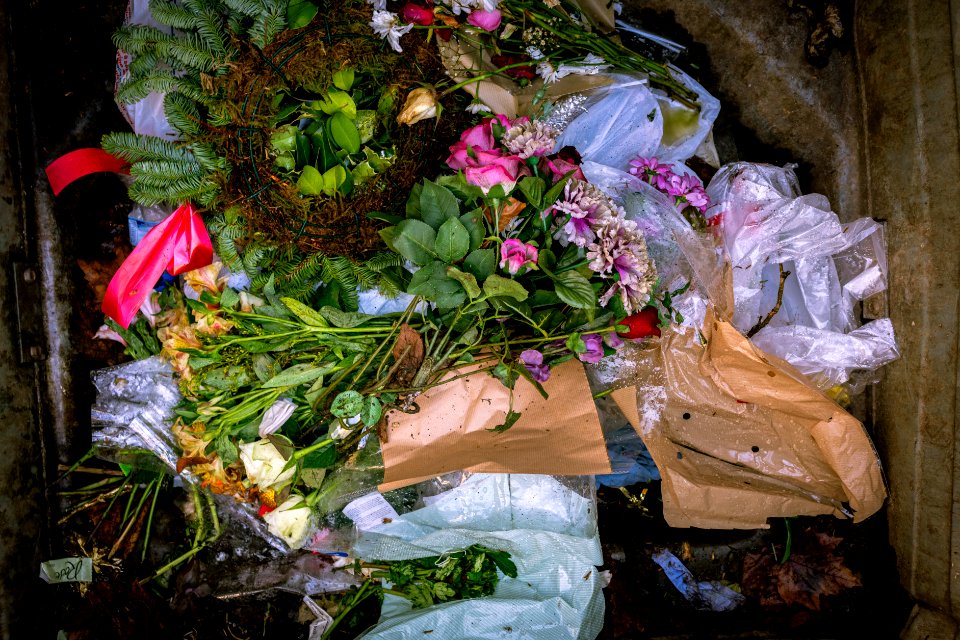 Flowers of the Dead