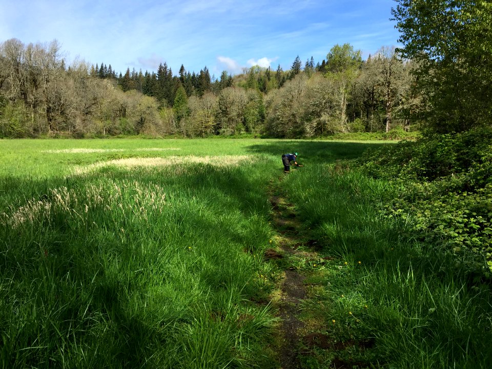 SamsWalker 4-9-15 (2)
