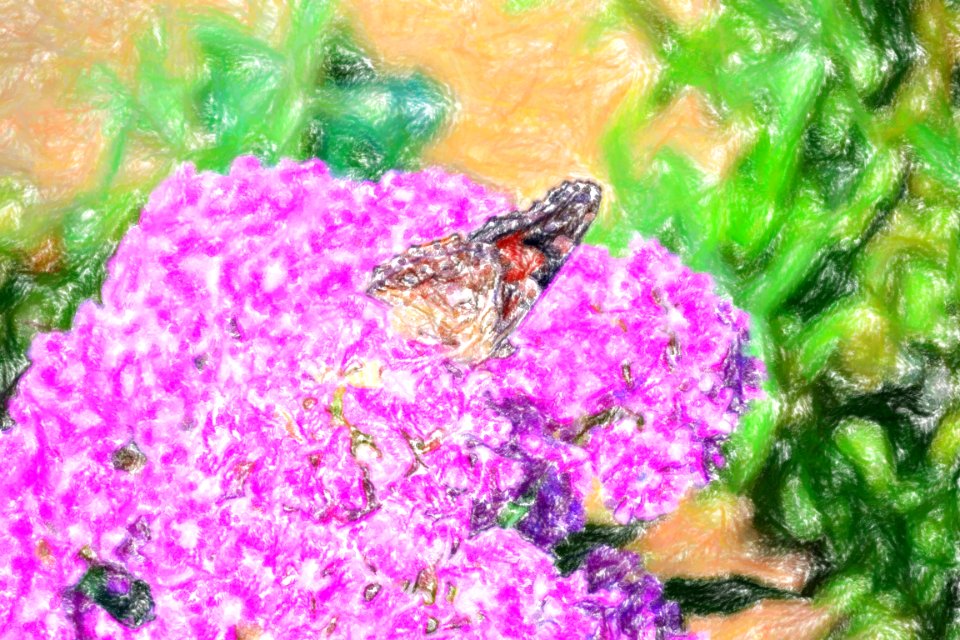 DSC 0040-wax-crayon
