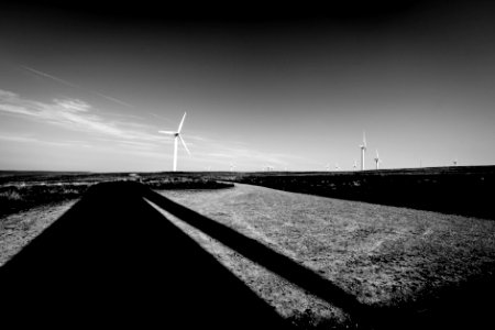 Wind and Shadow photo