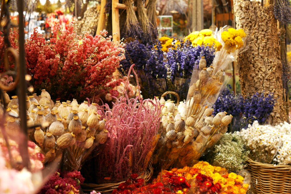 Dried flowers wallpapers anniversary