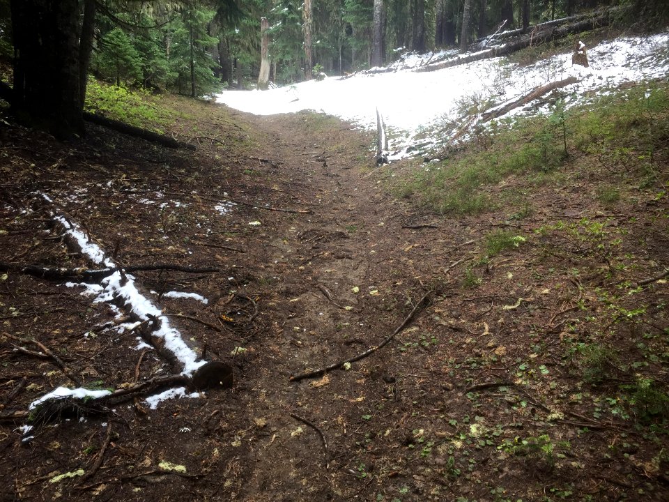 Klickitat Trail