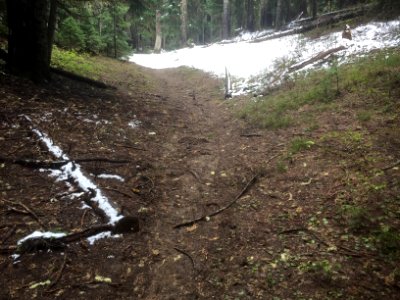 Klickitat Trail