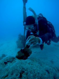Florida Keys Irma Coral Assessment photo