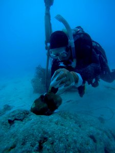 Florida Keys Irma Coral Assessment